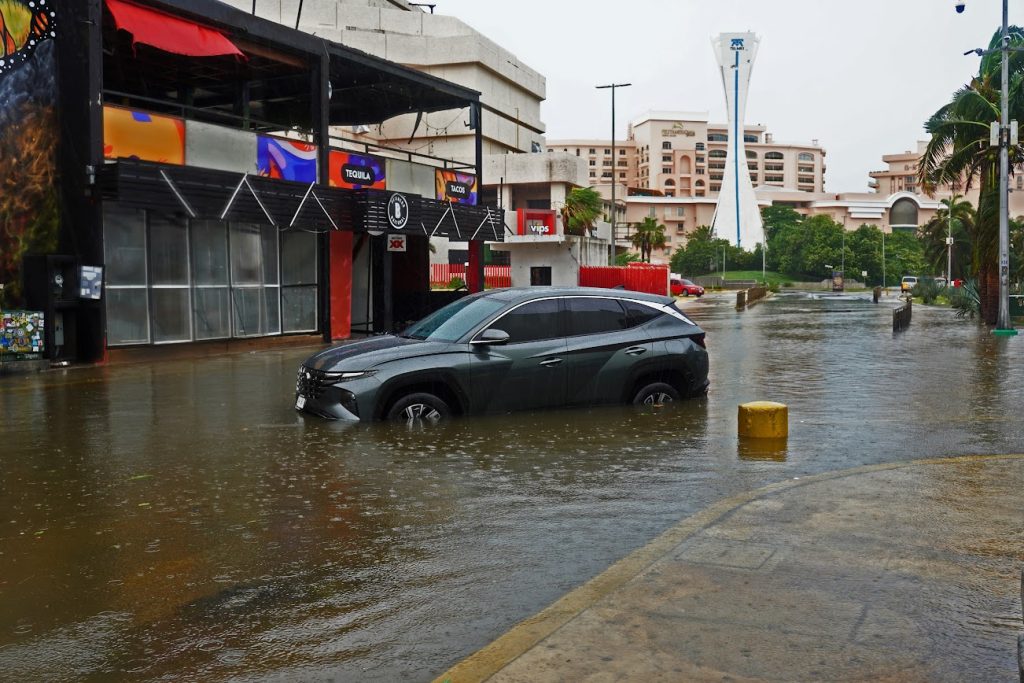 Post-Hurricane Helene: How to Deal with Mold, Water Damage, and Contamination