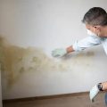 Are you facing an Administrative Complaint from the DBPR for the Unlicensed Practice of Mold Assessment, or a Violation of Chapter 455 and 468, Part XVI, of the Florida Statutes?