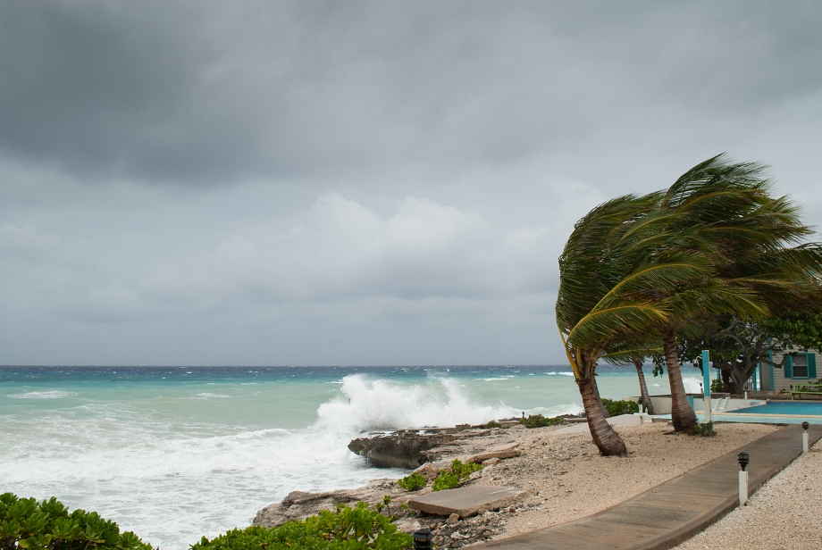 Flood vs. Wind Damage: A Homeowner's Guide