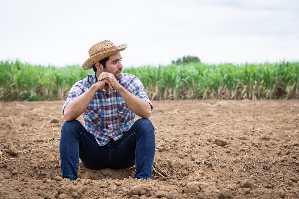 Agricultural Dealer Licenses – Administrative Complaint – FDACS – F.S. 604.17