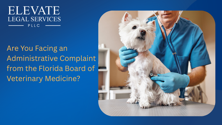 Facing an Administrative Complaint from the Florida Board of Veterinary Medicine?