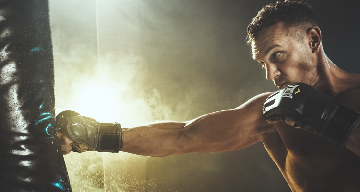 Defending Your Boxing License In Florida