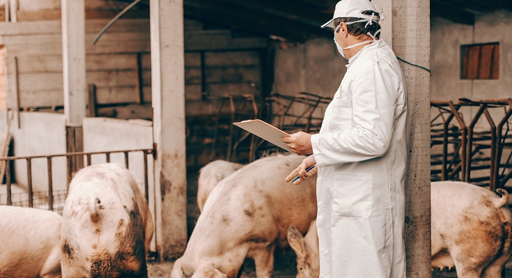 Protecting Your Florida Livestock Business From The FDACS