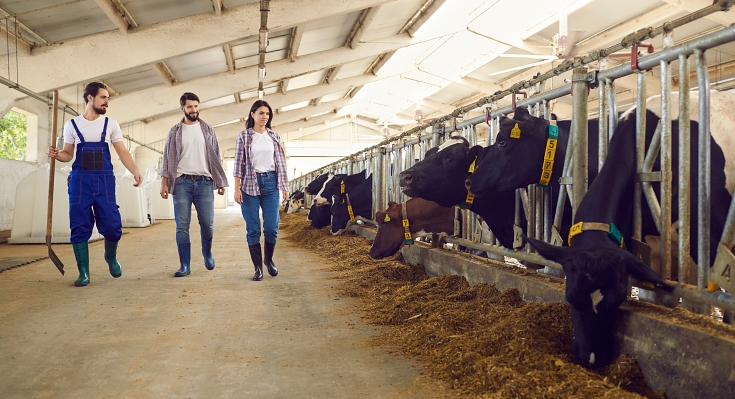 Protecting Your Florida Livestock Business From The FDACS