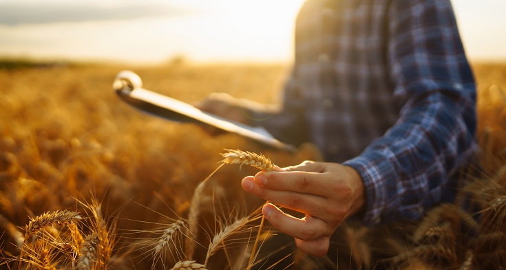Smart farm. Farmer with tablet in the field. Agriculture, gardening or ecology concept. Harvesting. Agro business.