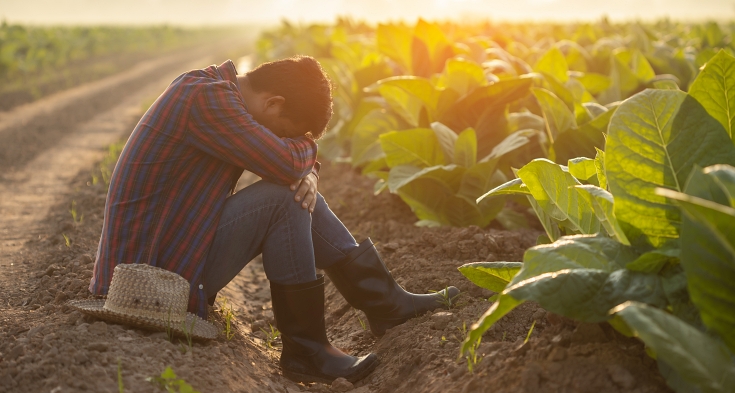Fail, unsuccessful or very tired farmer concept. Farmer is working in the field, sitting. Agriculture business concept