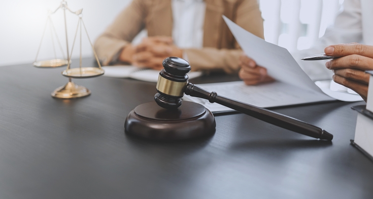Lawyer and client negotiation in legal judgement consulting.